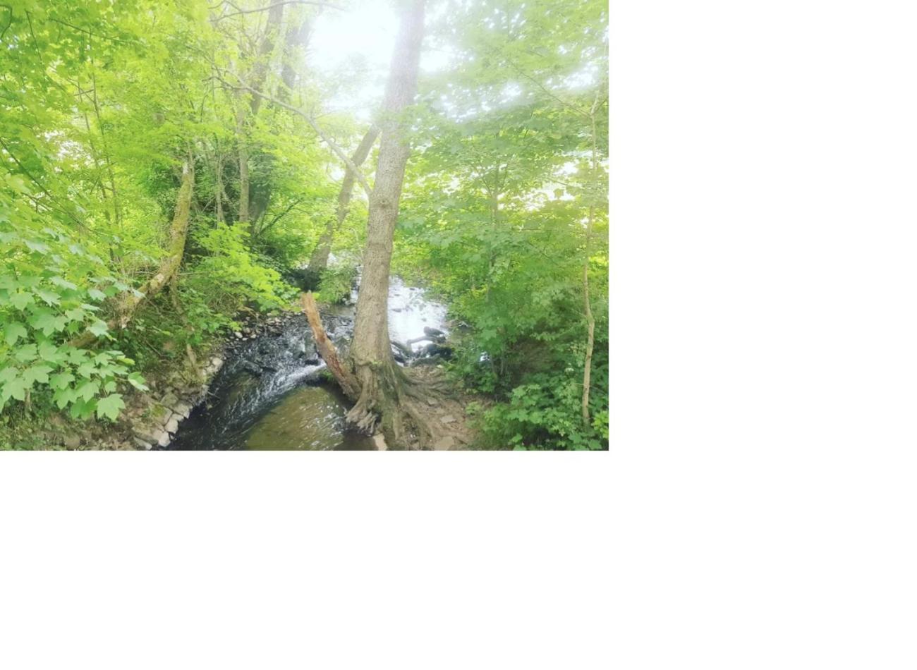 Natur Pur Frielendorf Exterior foto