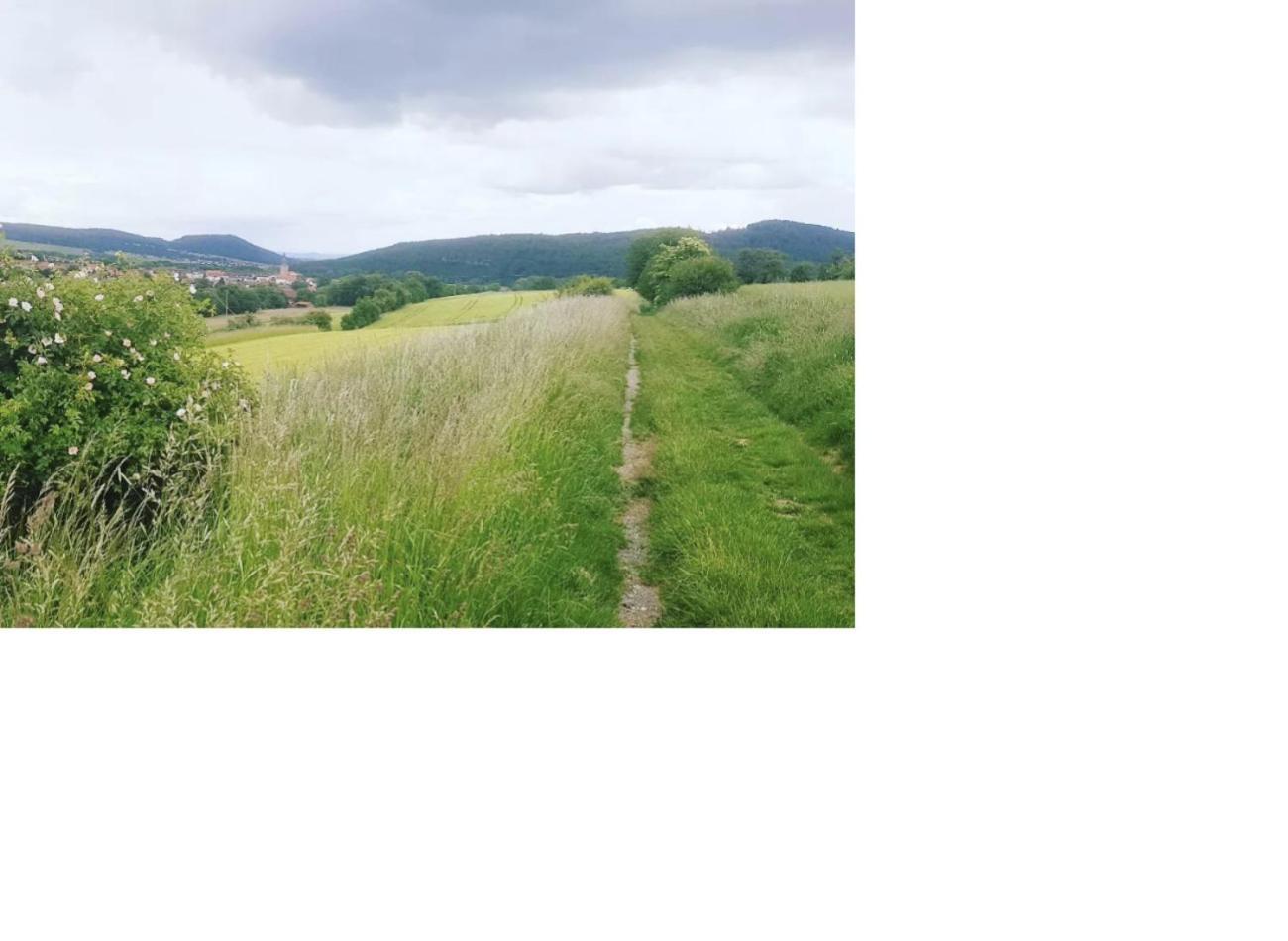 Natur Pur Frielendorf Exterior foto