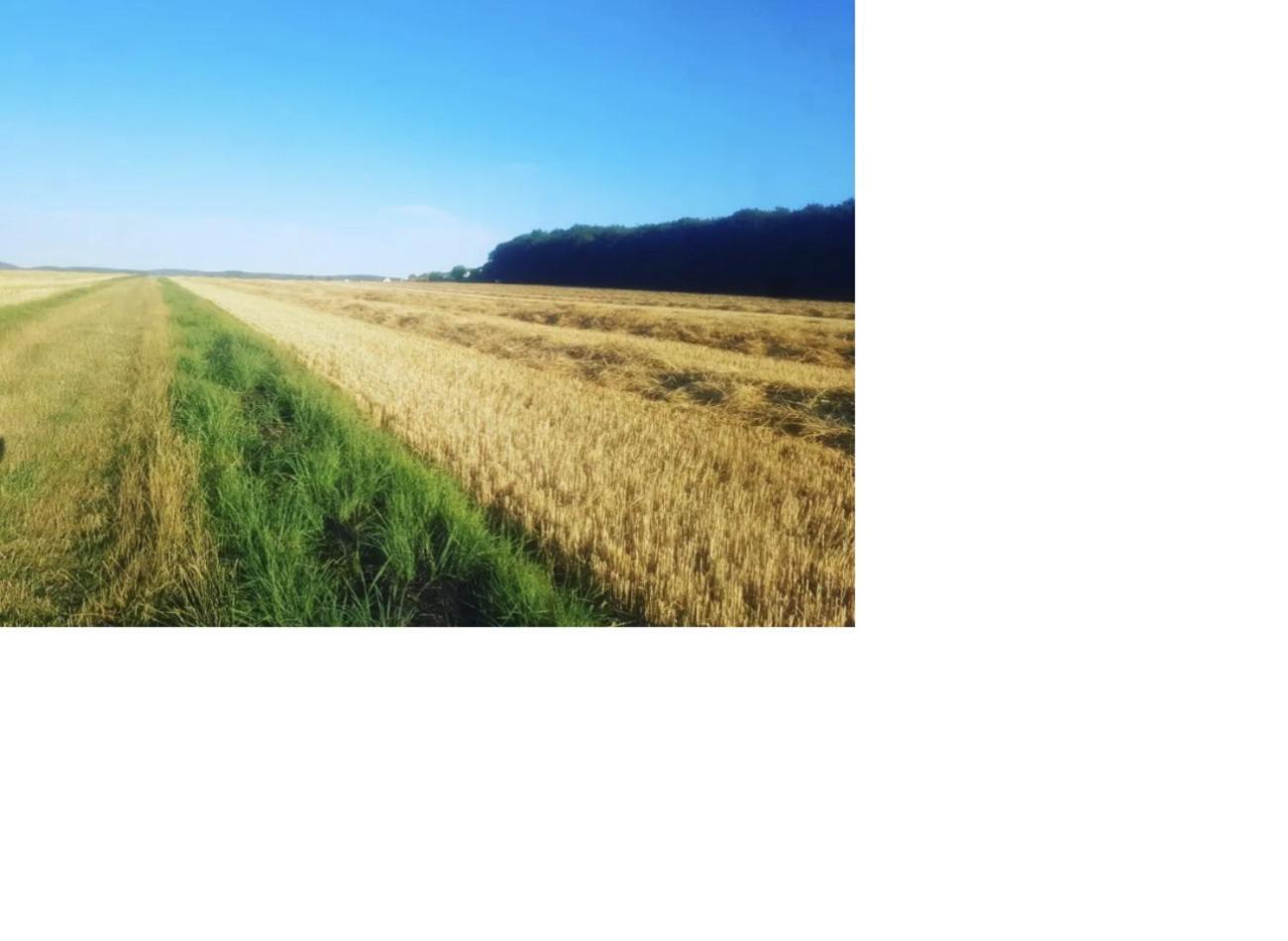 Natur Pur Frielendorf Exterior foto