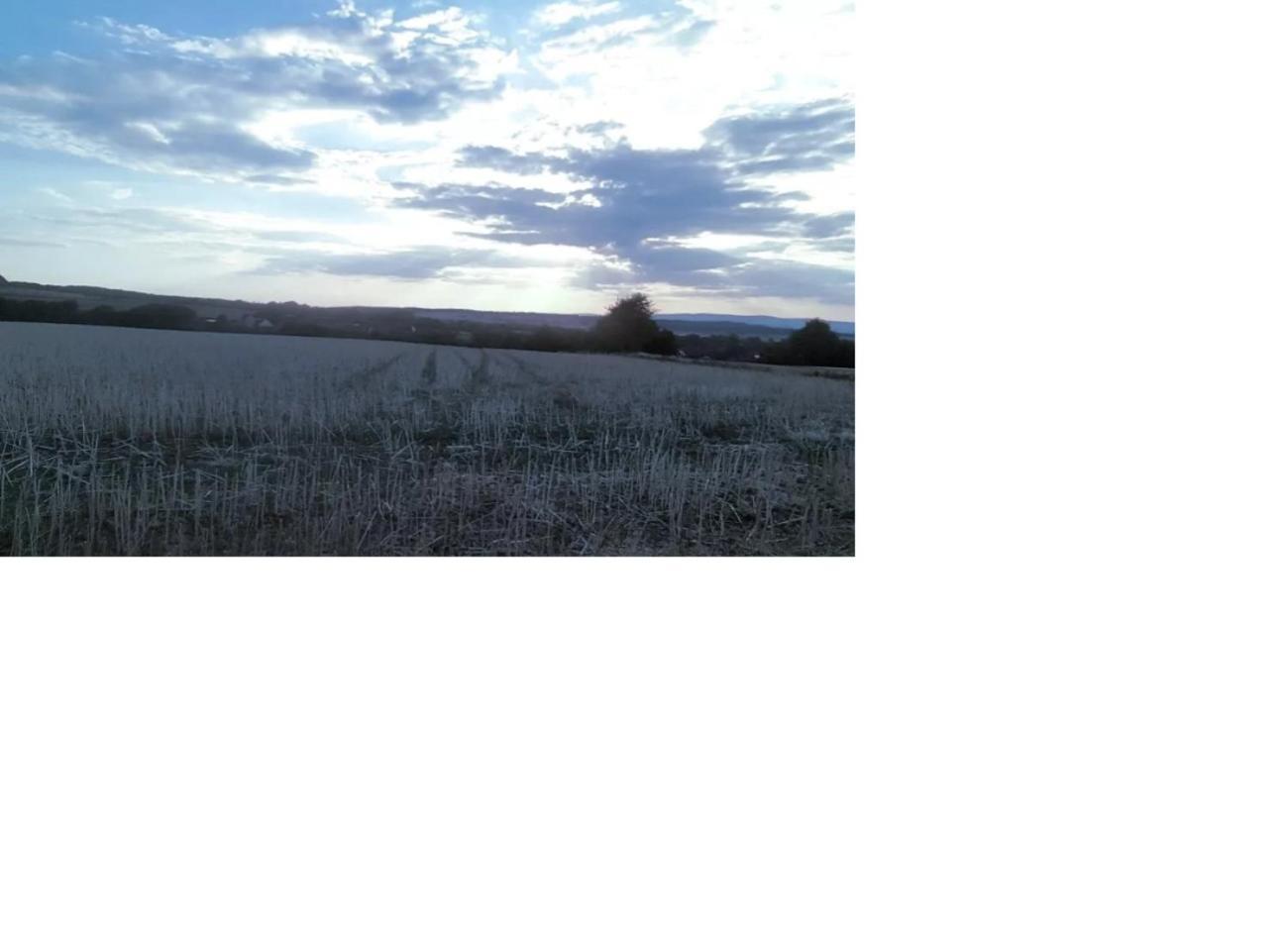 Natur Pur Frielendorf Exterior foto