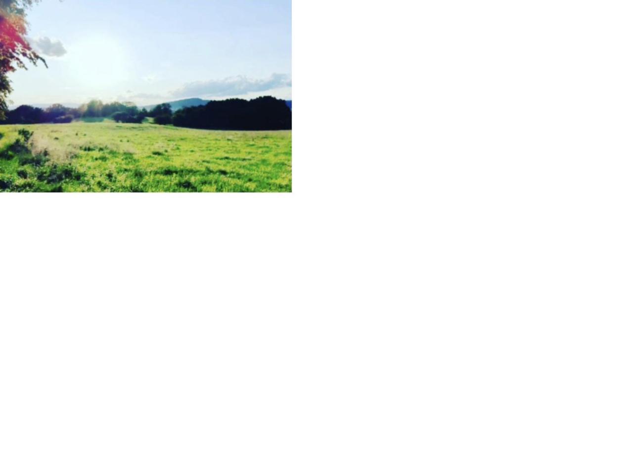Natur Pur Frielendorf Exterior foto